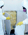 mold cleanup