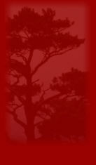 lead paint, mold, asbestos, cleanup